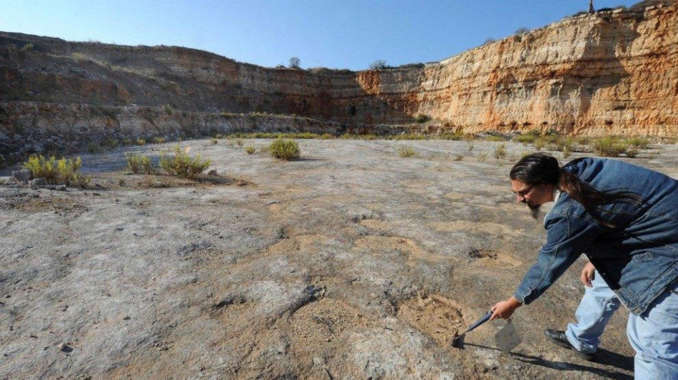 Scoperte le impronte dei dinosauri con la coda a mazza chiodata