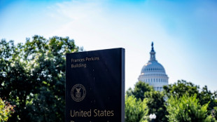 'My heart sank': Surging scams roil US job hunters