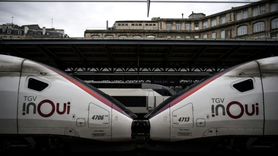 Chass&eacute;-crois&eacute; des vacances d'&eacute;t&eacute;: le jour le plus long pour la SNCF