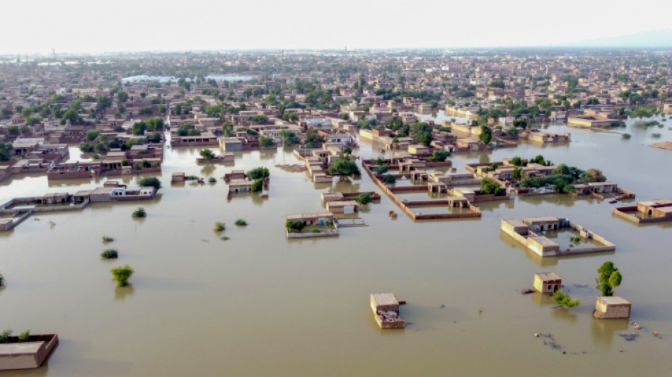 2022, l'&eacute;t&eacute; o&ugrave; l'h&eacute;misph&egrave;re nord a senti la violence du r&eacute;chauffement climatique
