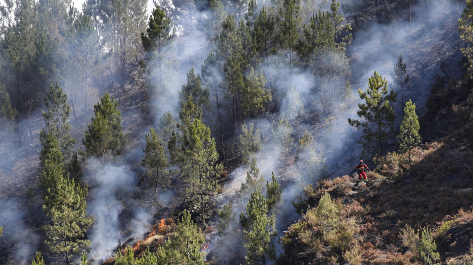 Roghi in Spagna, emissioni record carbonio, fumo in Scandinavia