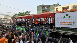 A Abidjan, parade triomphale pour les El&eacute;phants champions d'Afrique