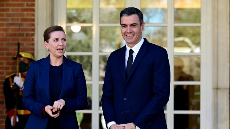 Spanien und D&auml;nemark gegen Einstufung von Gas und Atomkraft als nachhaltig