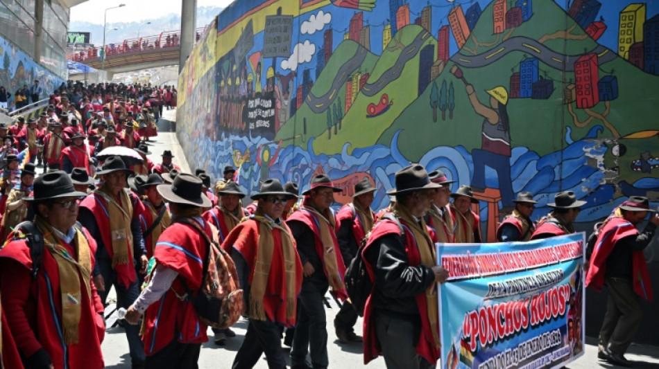 Una nutrida marcha respalda al gobierno de Bolivia tras el ultim&aacute;tum de Evo Morales 