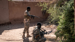 El ej&eacute;rcito sudan&eacute;s recupera una ciudad clave controlada por paramilitares