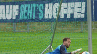 Nationaltorhüter Baumann verlängert in Hoffenheim