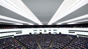 Auch BSW und Dava: 59 Antr&auml;ge von Parteien und Gruppen f&uuml;r Teilnahme an EU-Wahl