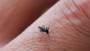 Un modello matematico prevede il volo delle zanzare in cerca di sangue