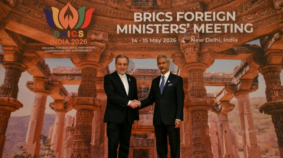R&eacute;union des diplomates des Brics en Inde, le Moyen-Orient et l'&eacute;nergie au programme