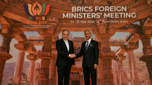 R&eacute;union des diplomates des Brics en Inde, le Moyen-Orient et l'&eacute;nergie au programme