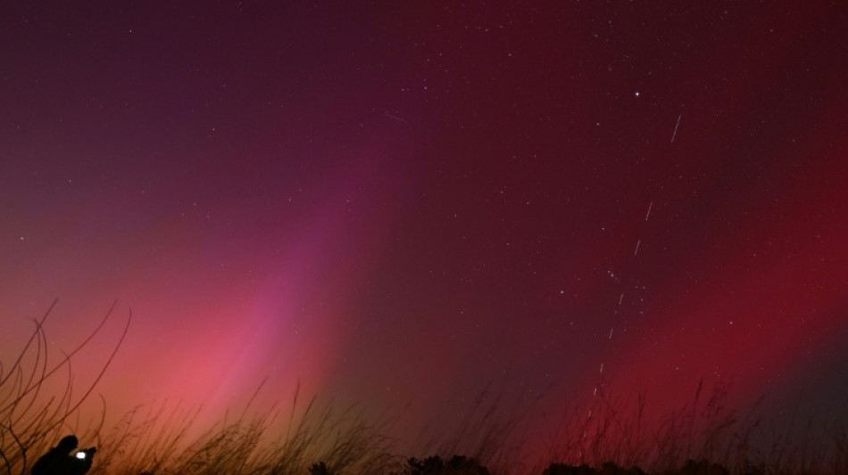 Taiw&aacute;n levanta el obst&aacute;culo legal para la operaci&oacute;n del internet satelital de Starlink