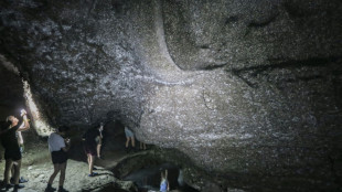 Descubren una telara&ntilde;a gigante con 111.000 ara&ntilde;as en una gruta de Grecia