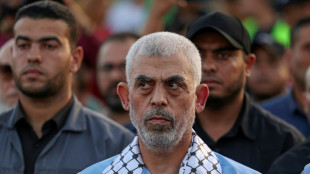 Ham&aacute;s, un movimiento debilitado por Israel pero no destruido