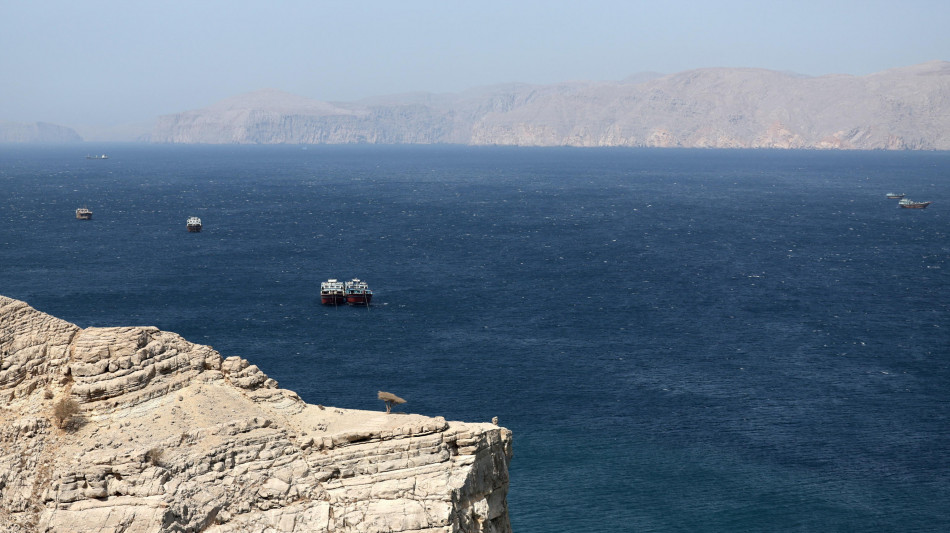 Media, 'centinaia di petroliere e navi di Gnl ferme ai lati di Hormuz'