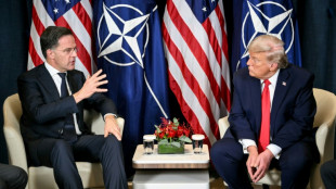 Rutte trifft vor Nato-Gipfel US-Pr&auml;sident Trump in Washington