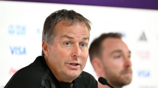 Denmark coach unafraid of 'spectacular' France at World Cup