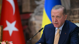 Erdogan perfila la posibilidad de dejar el poder tras m&aacute;s de 20 a&ntilde;os al mando en Turqu&iacute;a