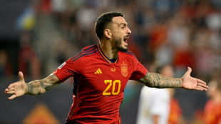 Ligue des nations: L'Espagne retente sa chance en finale, gr&acirc;ce &agrave; Rodri