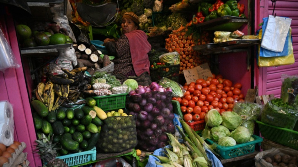 World Bank warns of worsening food insecurity as commodity prices soar