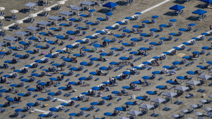 Codacons, boom truffe con l'Ia in vacanza, da 'case fantasma' a biglietti