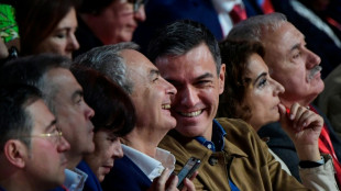 Des dizaines de milliers de manifestants &agrave; Madrid exigent le d&eacute;part du Premier ministre