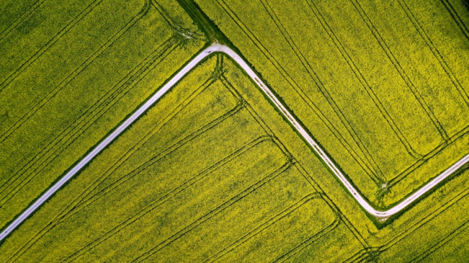 Bauernpr&auml;sident betont Bedeutung der Landwirte f&uuml;r die Versorgungssicherheit