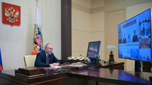 Putin, Italian firms talk business despite Ukraine tensions