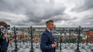 Peter Magyar en Pologne pour marquer le retour de la Hongrie dans l'UE