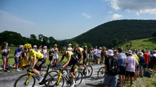 La 12e &eacute;tape du Tour: pour un nouveau feu d'artifice ?