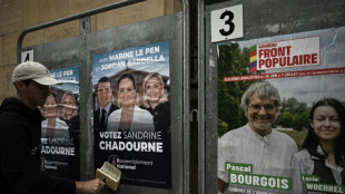L&eacute;gislatives: climat tendu dans la campagne, Attal va soutenir une candidate victime de violences
