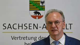 Haseloff: Wir verdr&auml;ngen derzeit viele Probleme in Deutschland