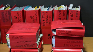 Proc&egrave;s Le Scouarnec: une nouvelle audience pour l'indemnisation des victimes