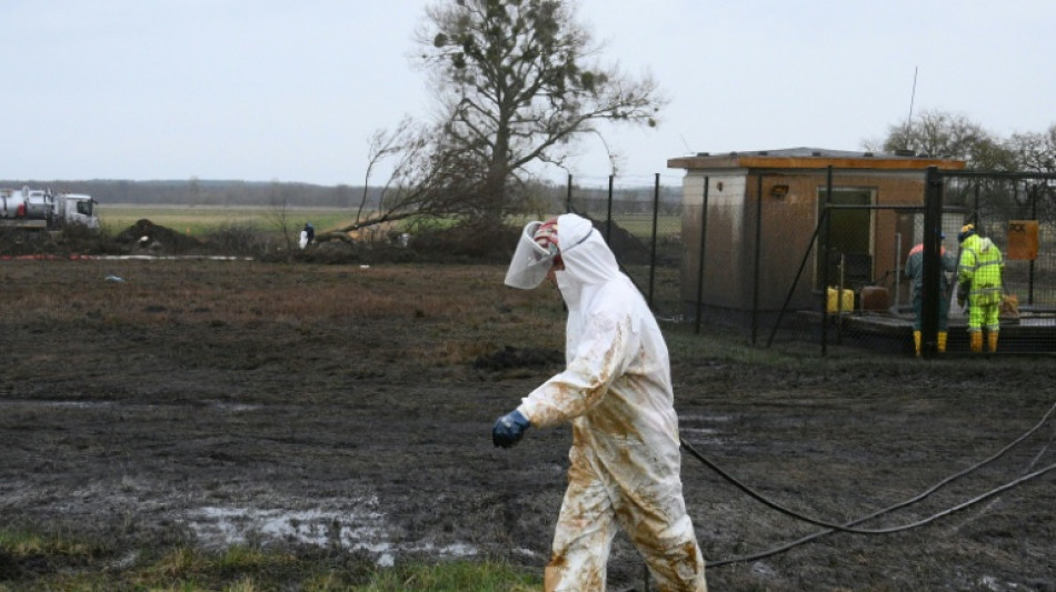 Erd&ouml;lhavarie in Brandenburg: Abtransport von Erde beginnt - Bach betroffen