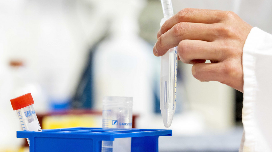 Farmaci per tumore polmone efficaci anche su quello gastrico