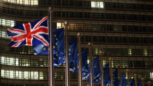 In Europ&auml;ischer Union lebende Briten d&uuml;rfen nicht bei Kommunalwahl w&auml;hlen