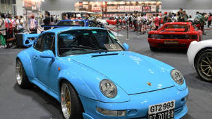 Versicherer: Zahl der Diebstähle versicherter Autos im vergangenen Jahr gesunken