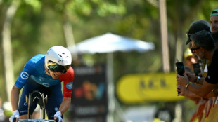 Only 'superstars' win Tour de France stages: French champ