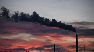 World's fossil fuel emissions to hit new record in 2025: study