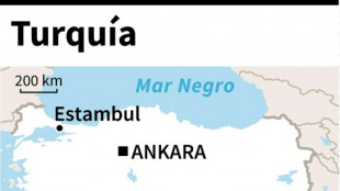 Al menos 12 muertos en una explosi&oacute;n en una f&aacute;brica de municiones en Turqu&iacute;a