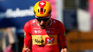 Norway's Dversnes takes surprise win in Giro 15th stage