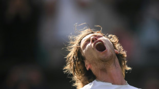 Wimbledon: Rublev vient &agrave; bout  de Bublik et file en quarts