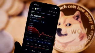 A montanha-russa dos investidores em criptomoedas em alto risco sob Trump