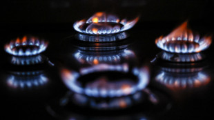 Arera, prezzo del gas di maggio per i vulnerabili +0,9%