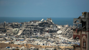 Conselho de Segurança da ONU faz reunião de emergência sobre plano de Israel para Gaza