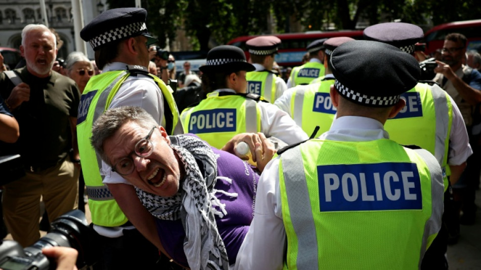 Mehr als 520 Festnahmen bei Protest f&uuml;r verbotene pro-pal&auml;stinensische Gruppe in London