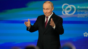 Putin, 'sul petrolio subiamo concorrenza sleale'