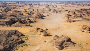 Dakar-2024: Loeb &agrave; l'arr&ecirc;t pendant plus d'une heure, ses chances de sacre s'envolent