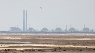 Feuer am K&uuml;hlturm des Atomkraftwerks Saporischschja in S&uuml;dukraine