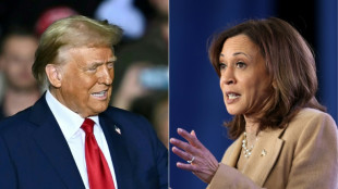 Harris y Trump queman sus &uacute;ltimos cartuchos electorales para las presidenciales