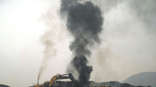 India alcanza un "hito" en energía limpia, pero el carbón sigue dominando